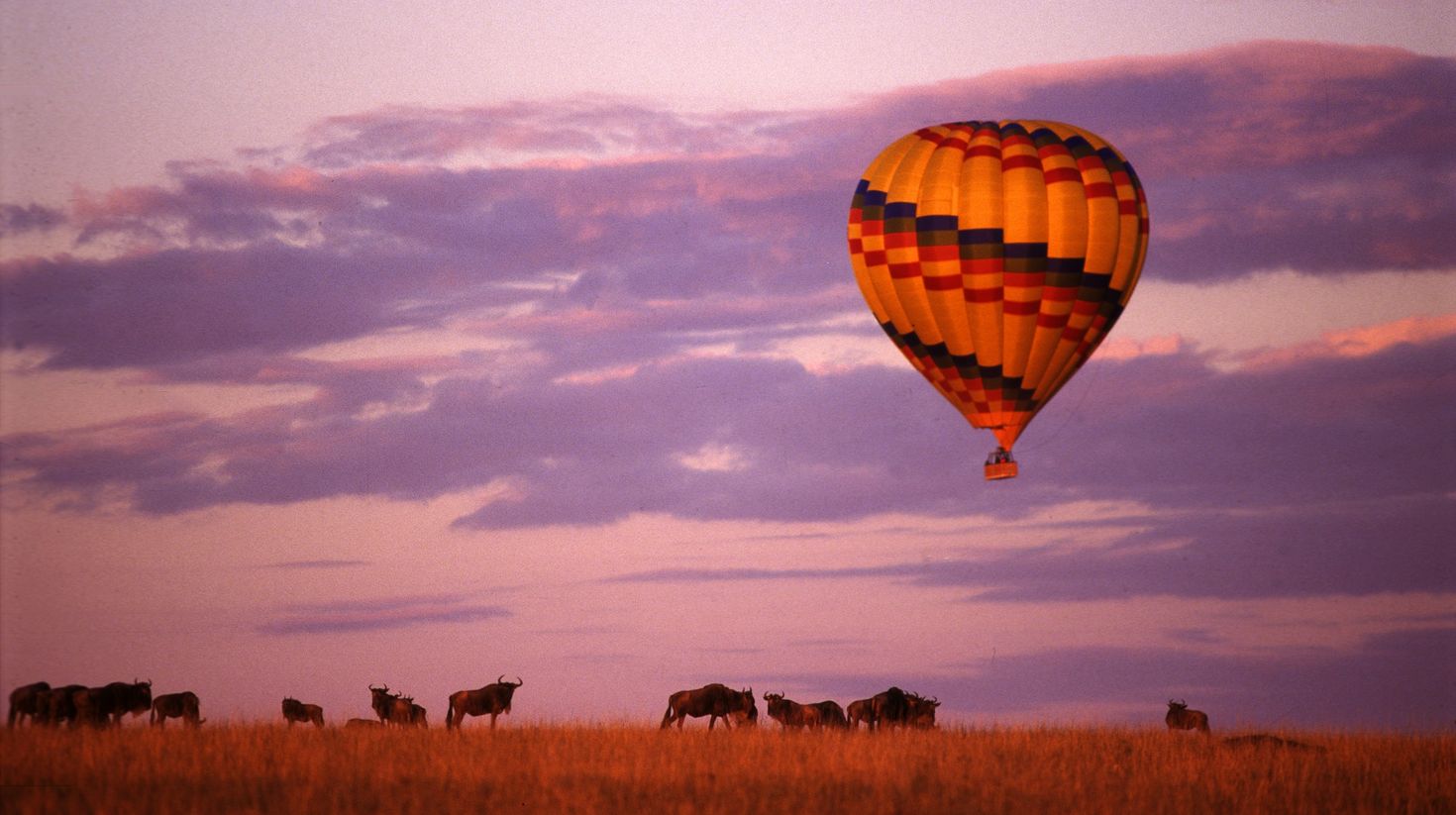 Hot air balloon over Masai Mara