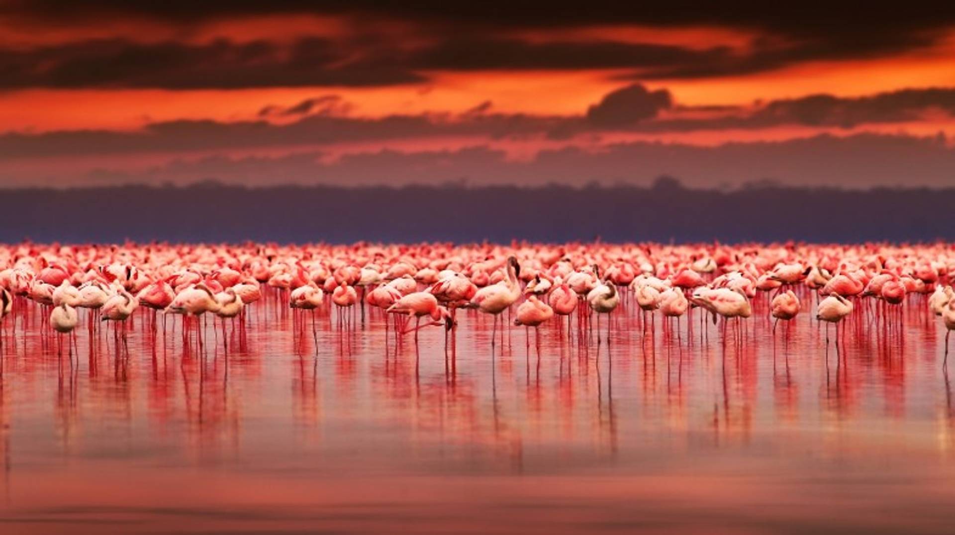Kenya in December: Weather, Tips & Festivals