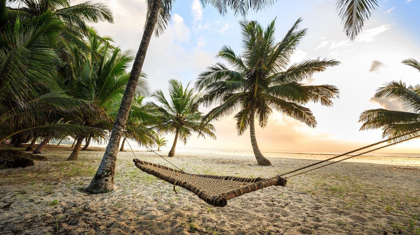 Hammock between palms on sandy beach in Kenya in February