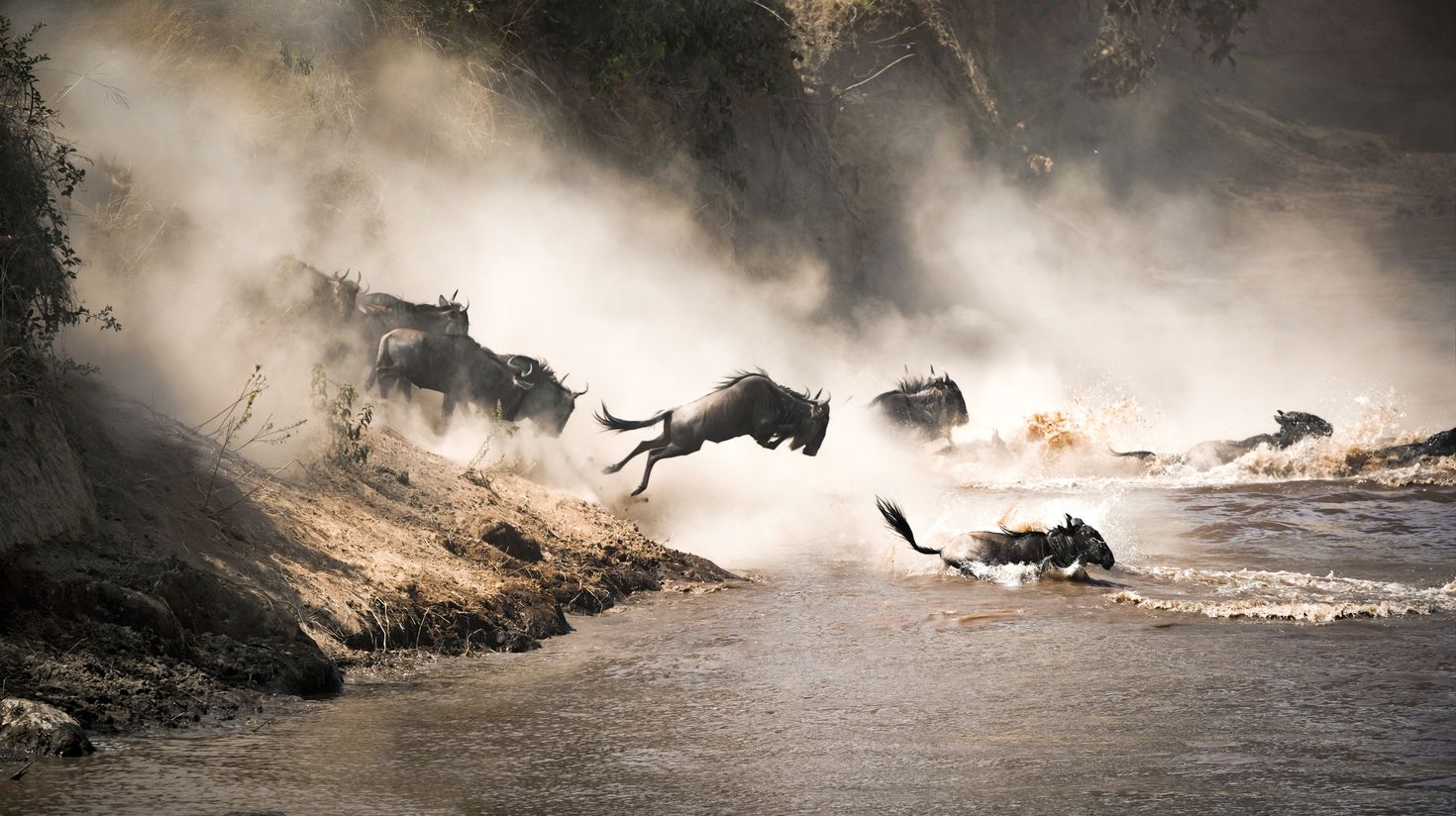 Wideneest migration, Kenya in July