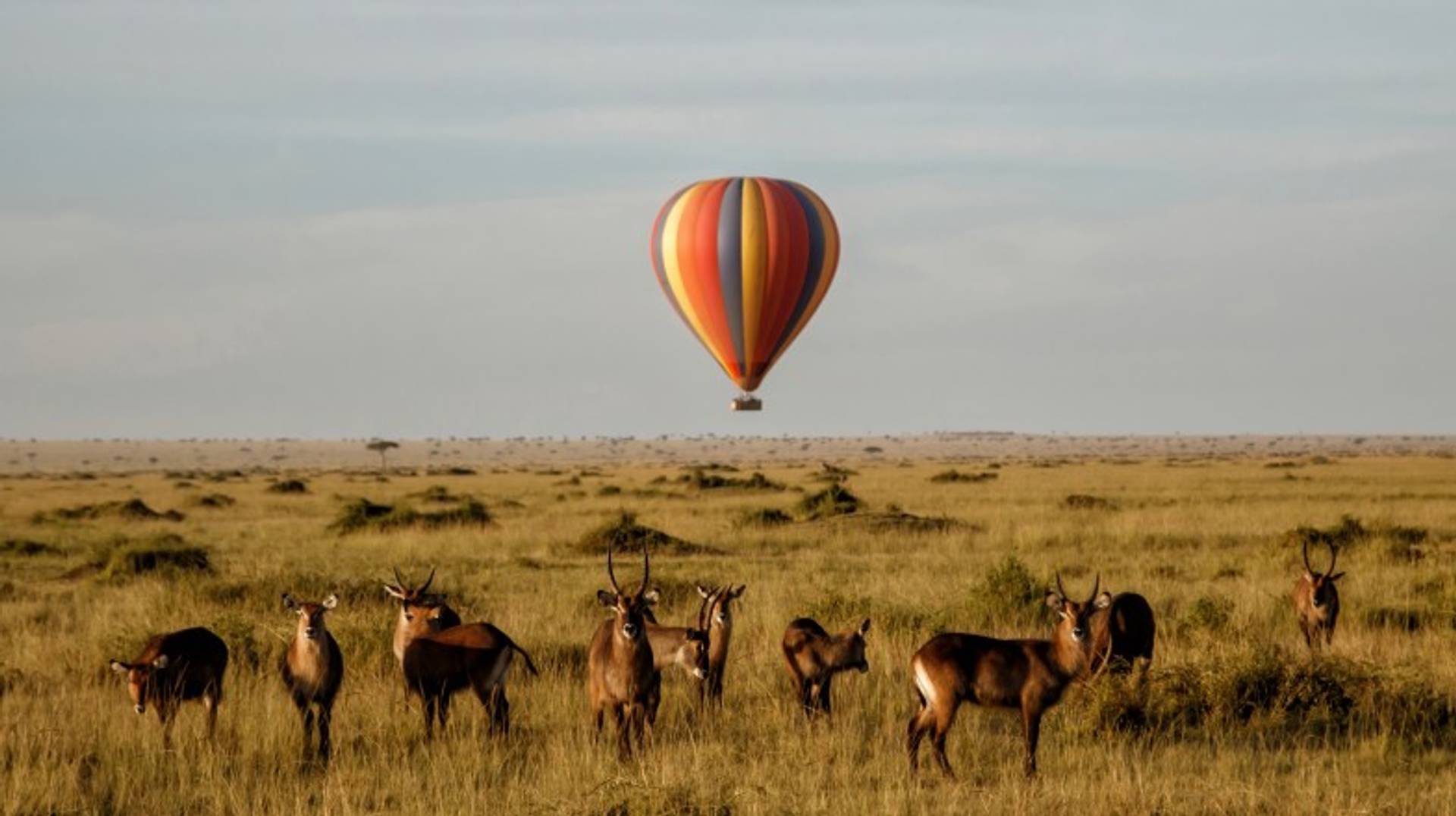 Kenya in June: Weather, Outdoor Adventures and More!