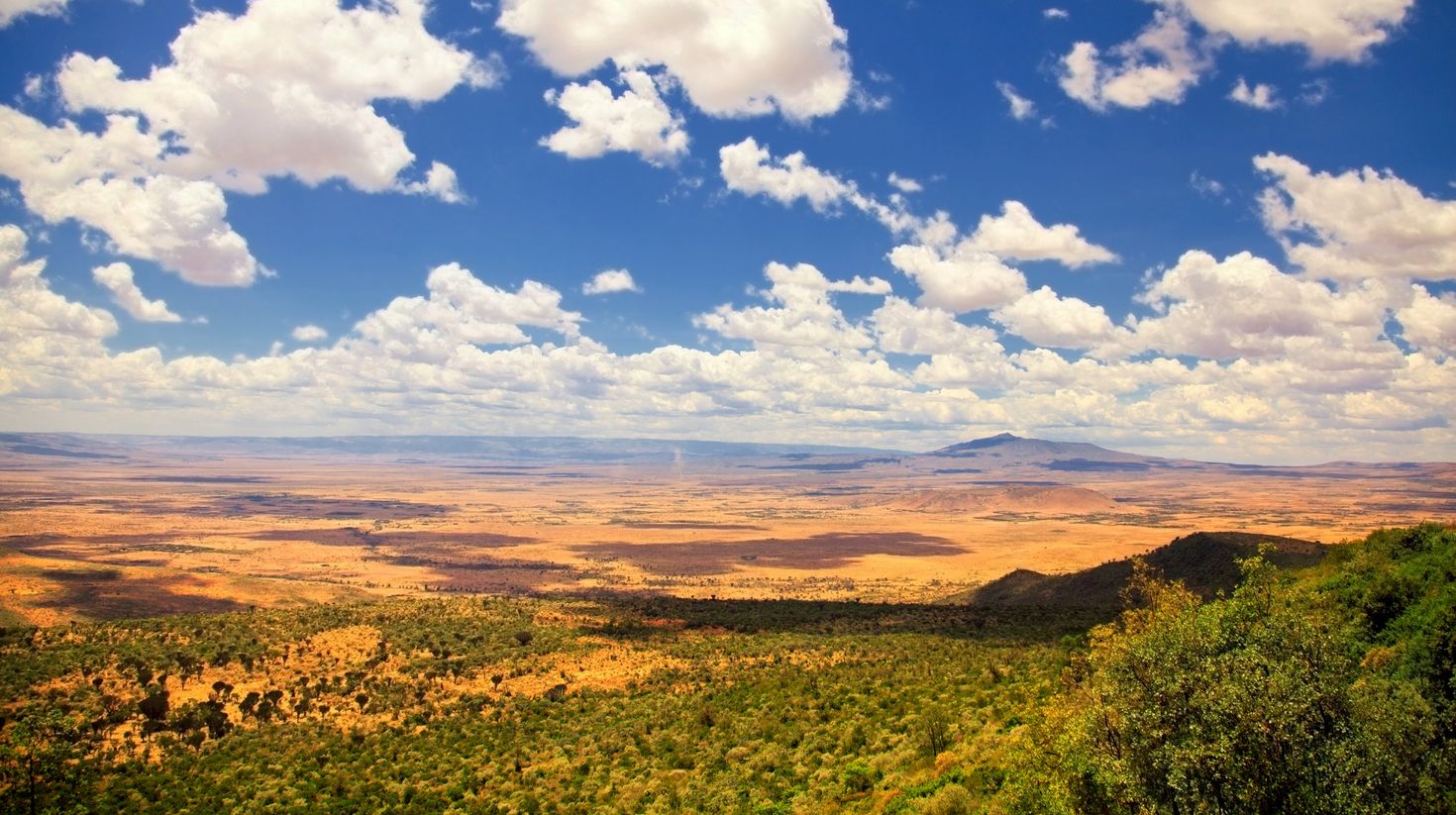 Lush Rift Valley in Kenya in March