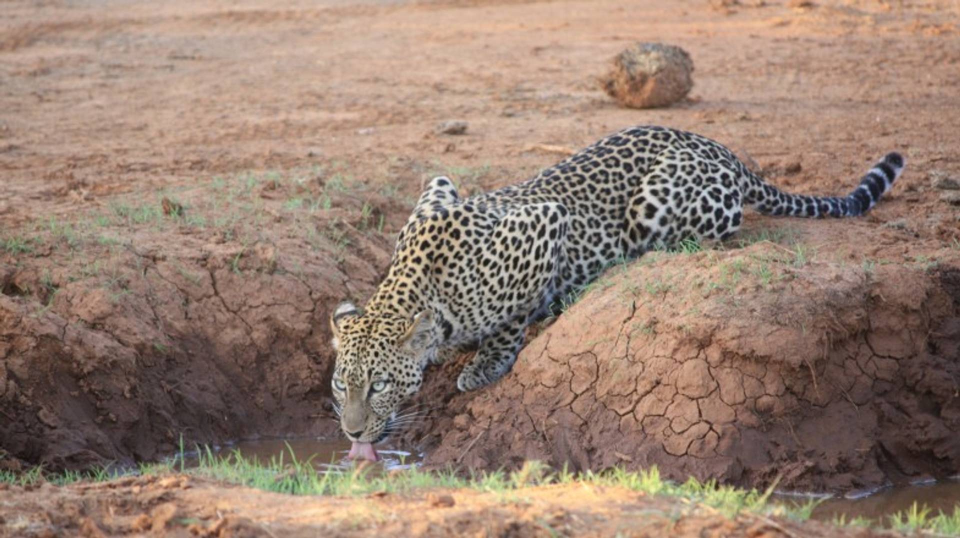 Kenya in March: All You Need to Know