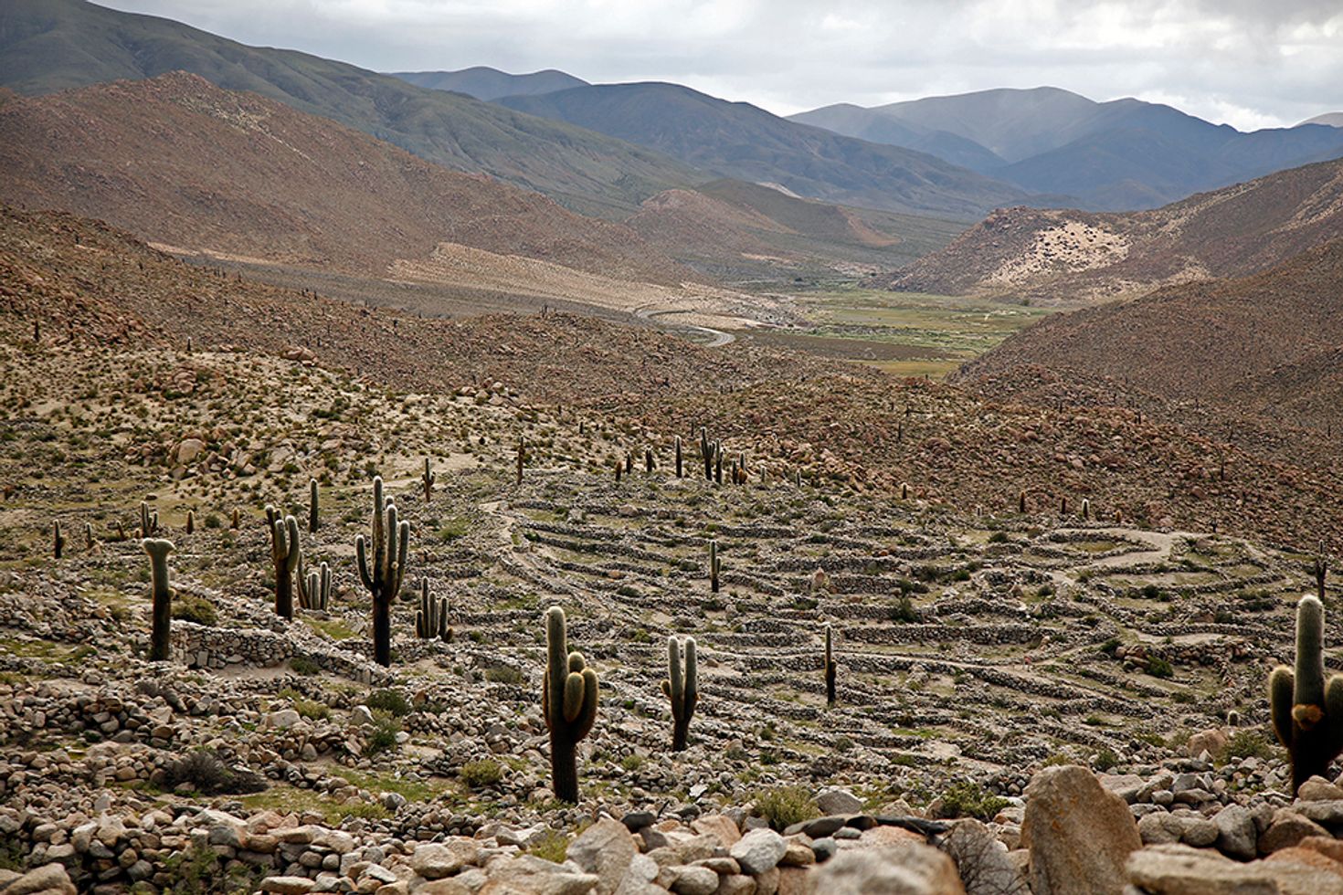 Tastil ruins in Salta