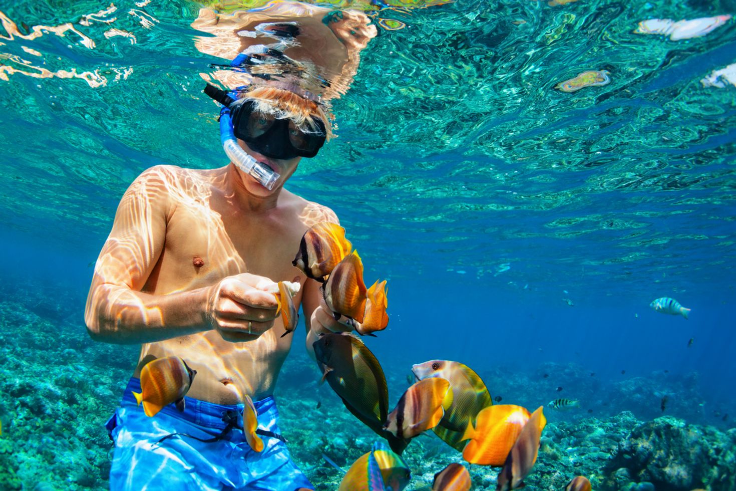 Lembongan island snorkeling at coral reefs