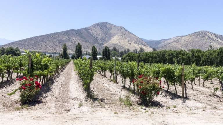 Maipo Valley wine region is the shortest drive away and offers a host of delectable Chilean wine, meaning it is a perfect getaway for a short day trip