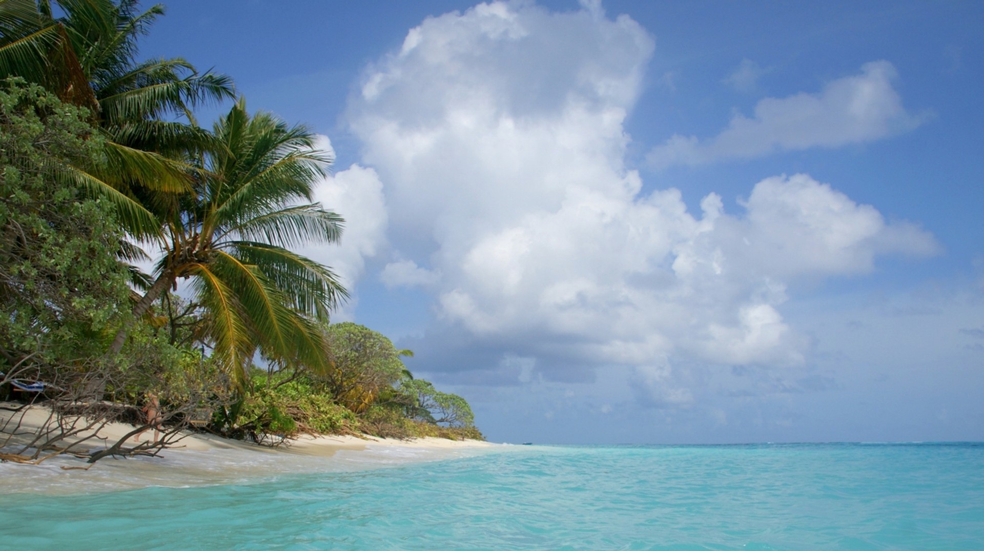 Tropical beach with palm trees and turquoise water under a cloudy sky in the Maldives in August.