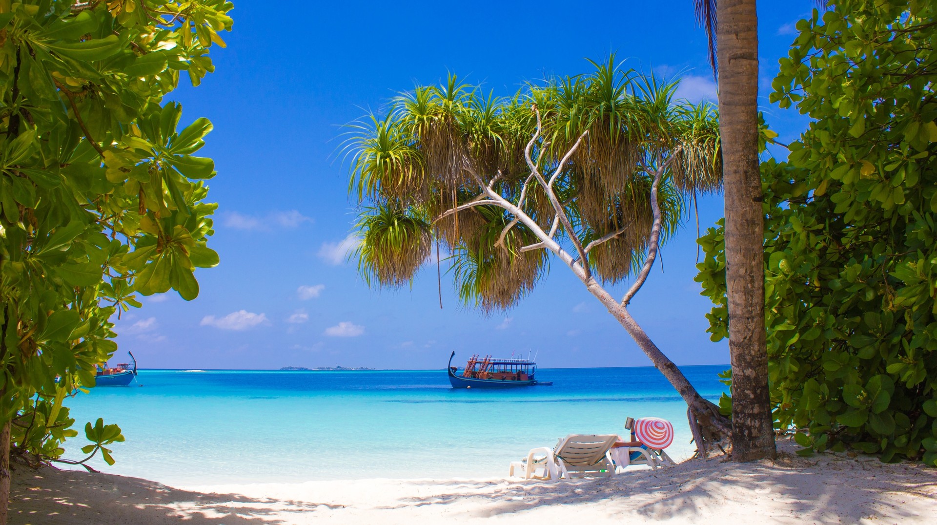 Immerse yourself in the majestic beaches during the clear weather in the Maldives in June. North Ali Atolls beach during clear weather in the Maldives in June.