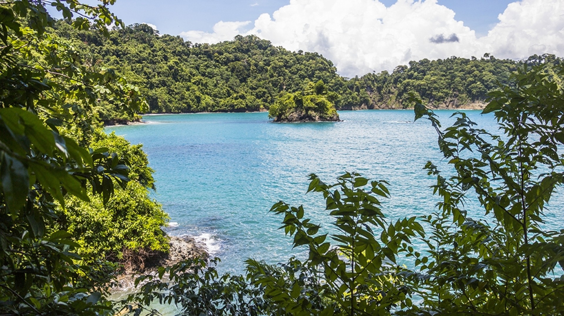 Manuel Antonio National Park, located in the western coast of Costa Rica is filled with lush forest, wildlife and clear blue waters. Manuel Antonio National Park is one of Costa Rica's most visited national parks