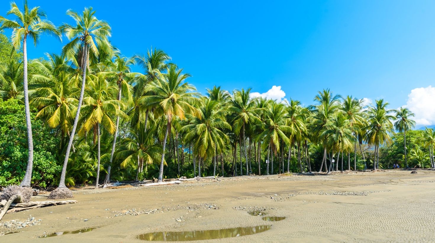 Marino Ballena National Park has perfect white sand.