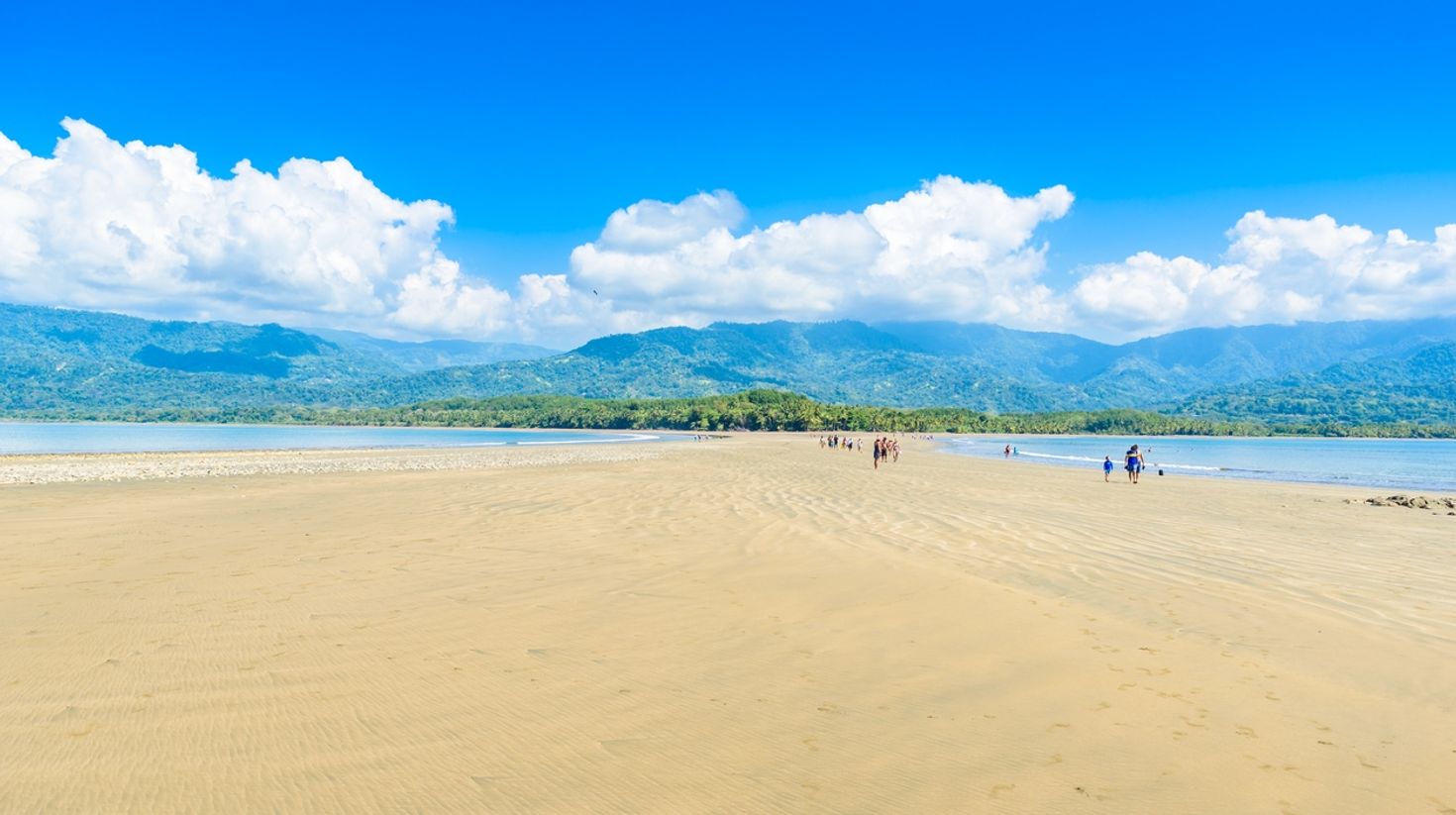 Marino Ballena National Park has stretches of