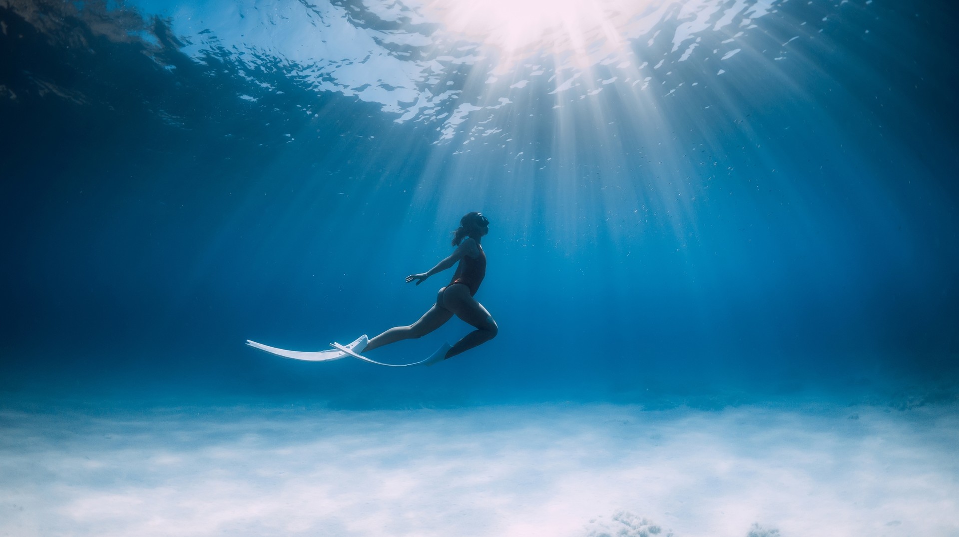 Mexico in April sees a wave of hot and dry weather hit the country. So there are plenty of summer activities waiting for you, especially diving along the coastlines. Freediver with white fins glides and posing underwater in ocean in Mexico in April.