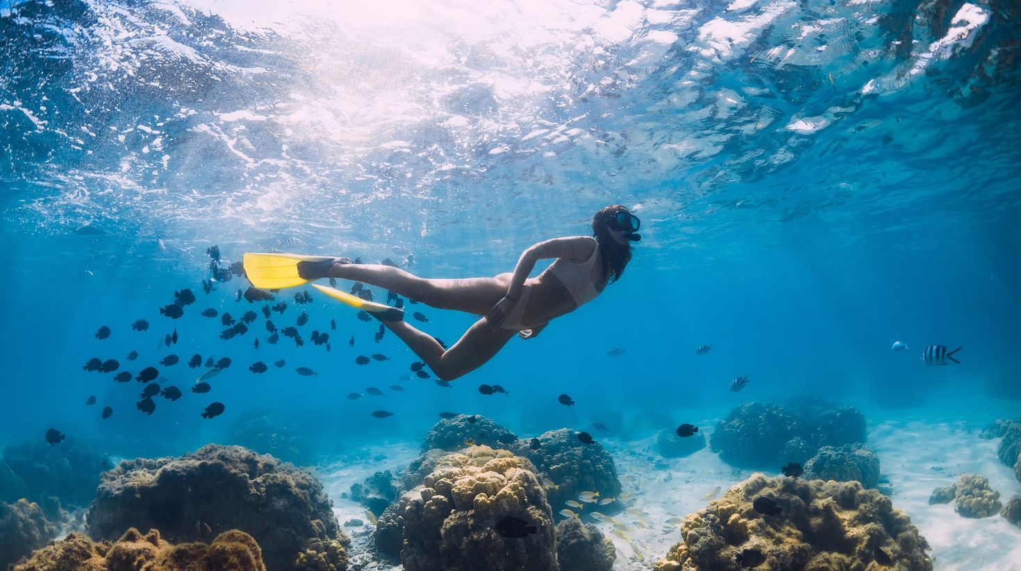 Free diver girl glides with school of fishes in blue ocean