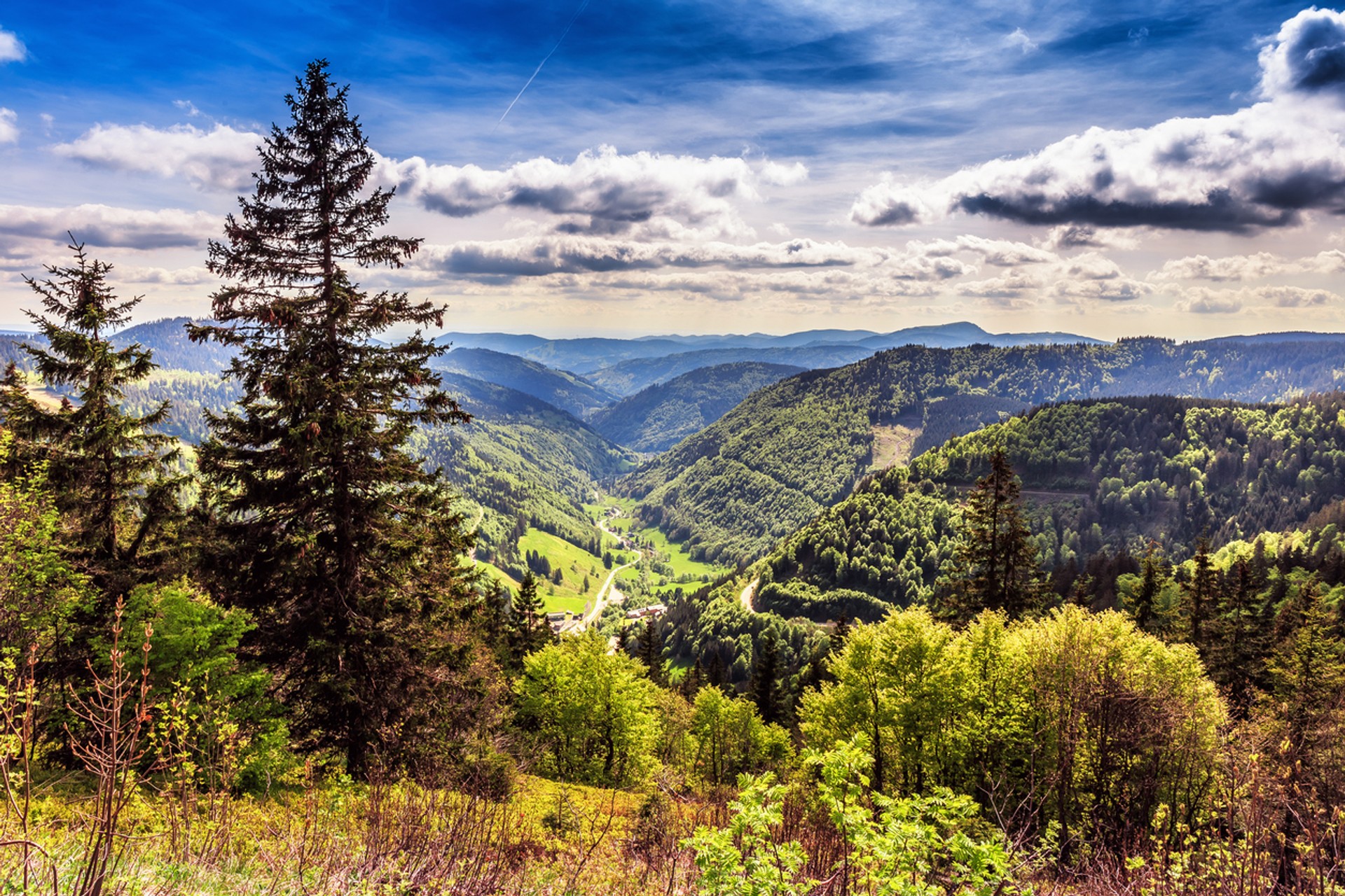 Mittelweg is a 9 day long hiking trail in Germany