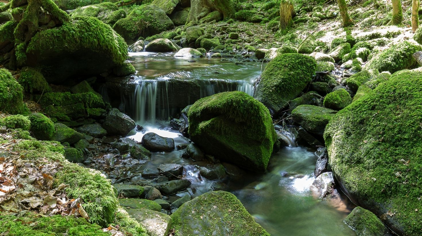 Mittelweg is a beautiful trail for hiking in Germany