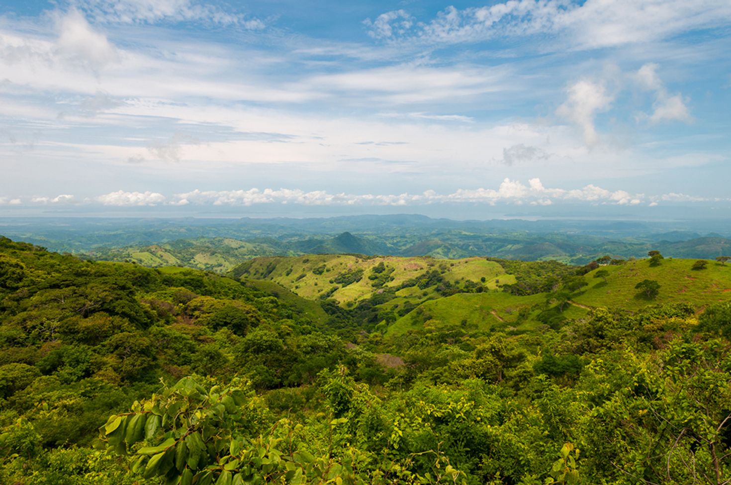 Monteverde Cloud Forest Reserve spans for miles.