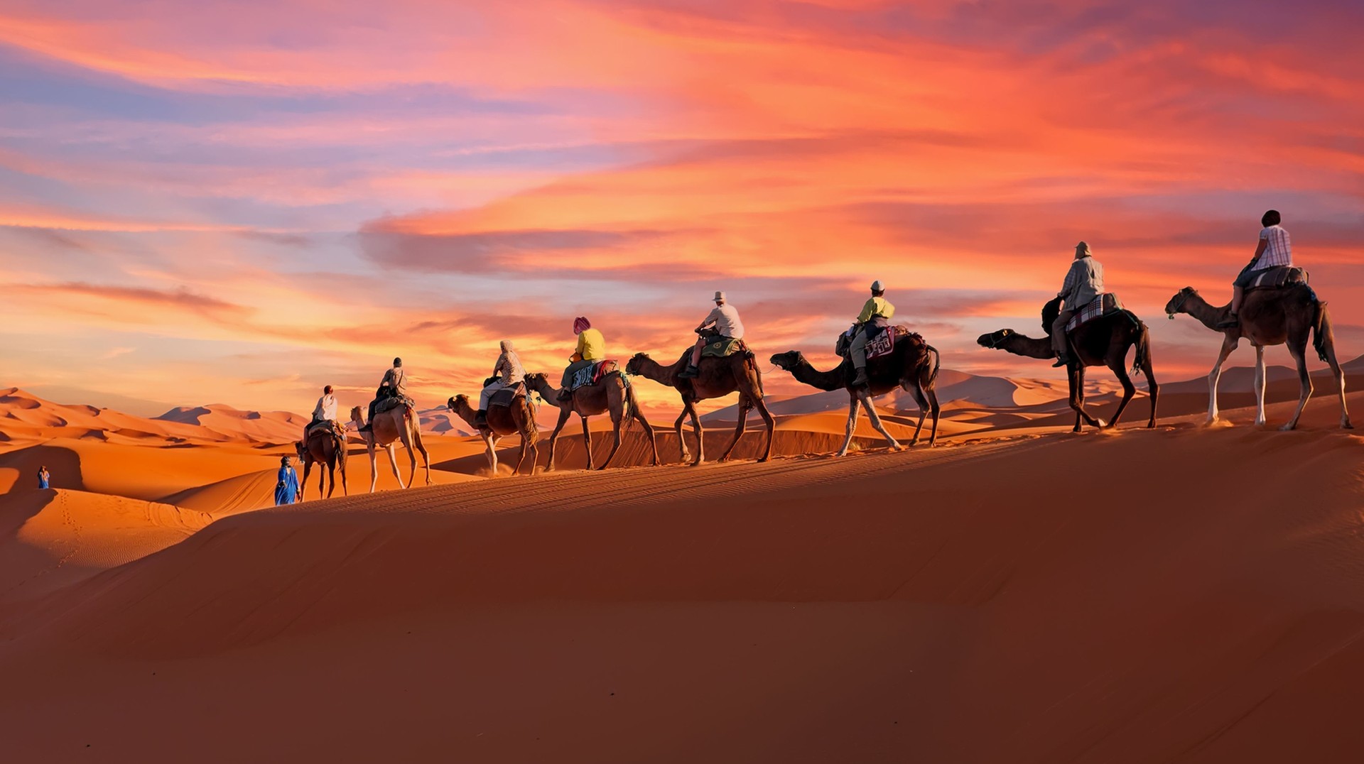 Experience the magic of 11 days in Morocco with an unforgettable camel ride through golden sands. Camel caravan going through the Sahara Desert during dusk on their 11 days in Morocco.
