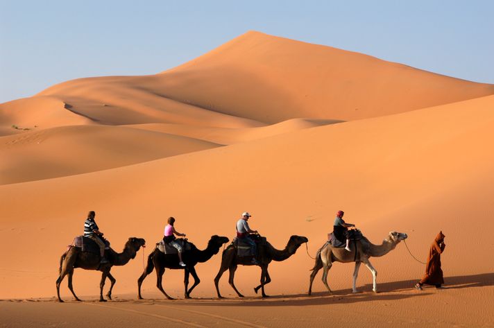 Camel trekking in Sahara is a recommended things to do in Morocco