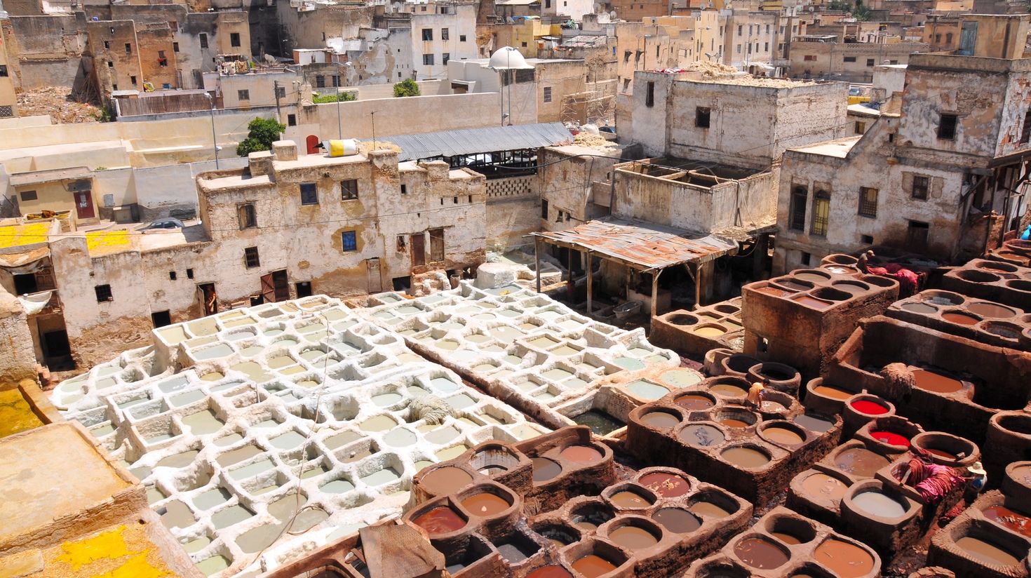 Leather tannery in Fez, Morocco