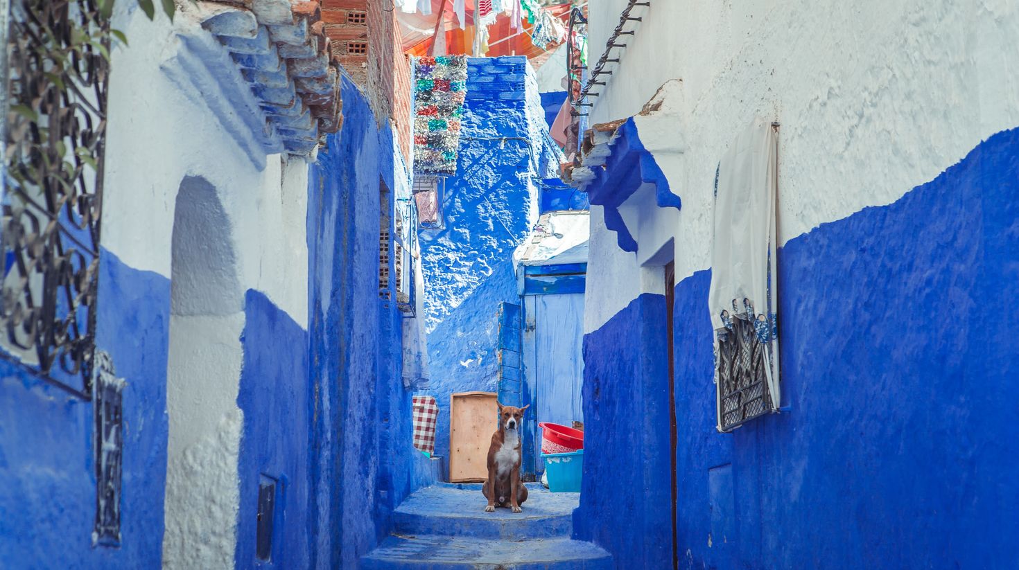 The Blue Streets of Chefchaouen, Morocco