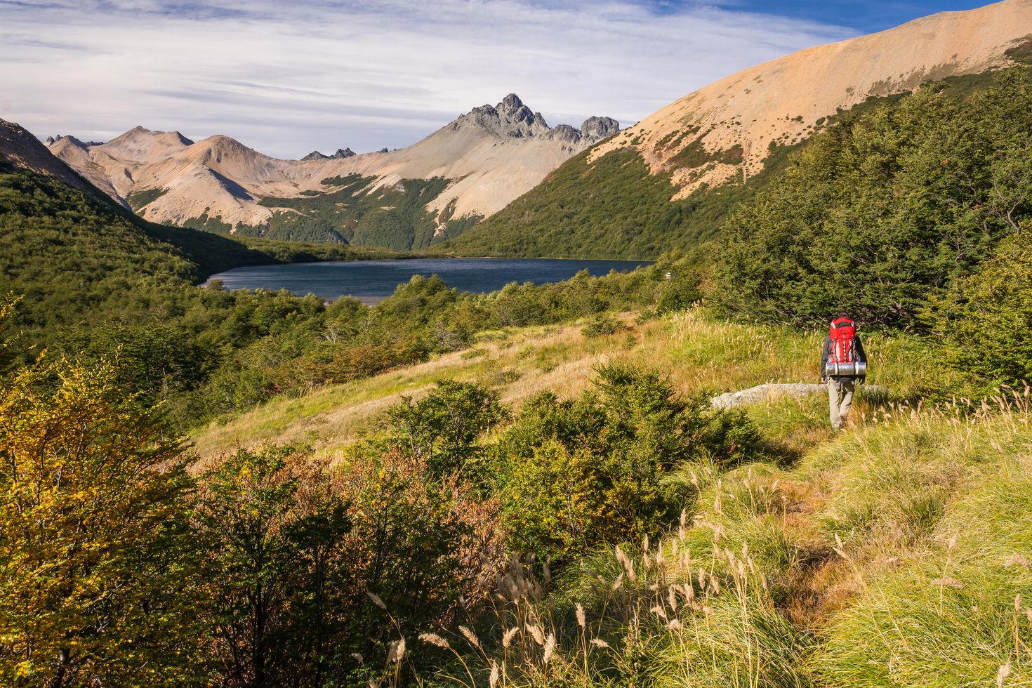 trekking in Nahuel Huapi national park