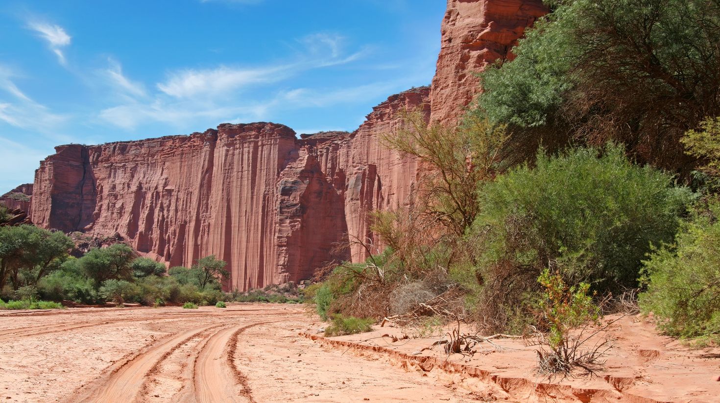 Dry riverbed and steep sandstone cliffs in the Talampaya National Park.