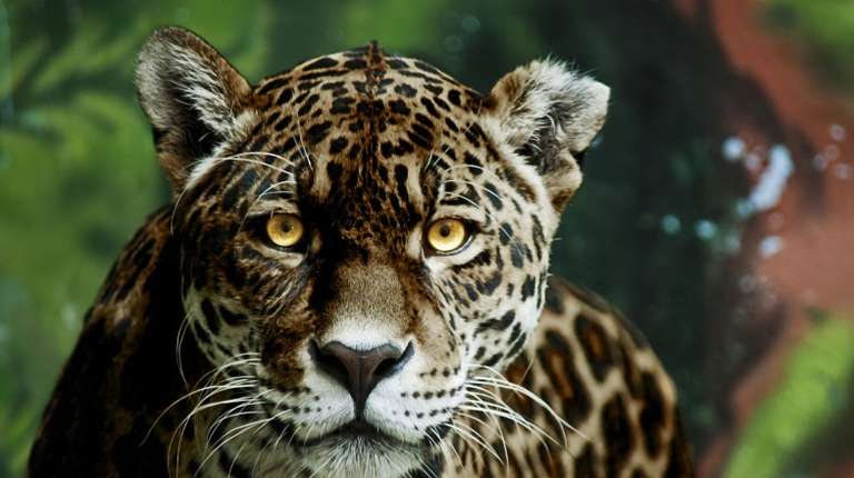 Top 7 National Parks in Argentina