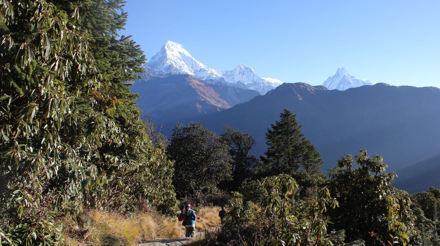 Langtang is a very famous trek route.