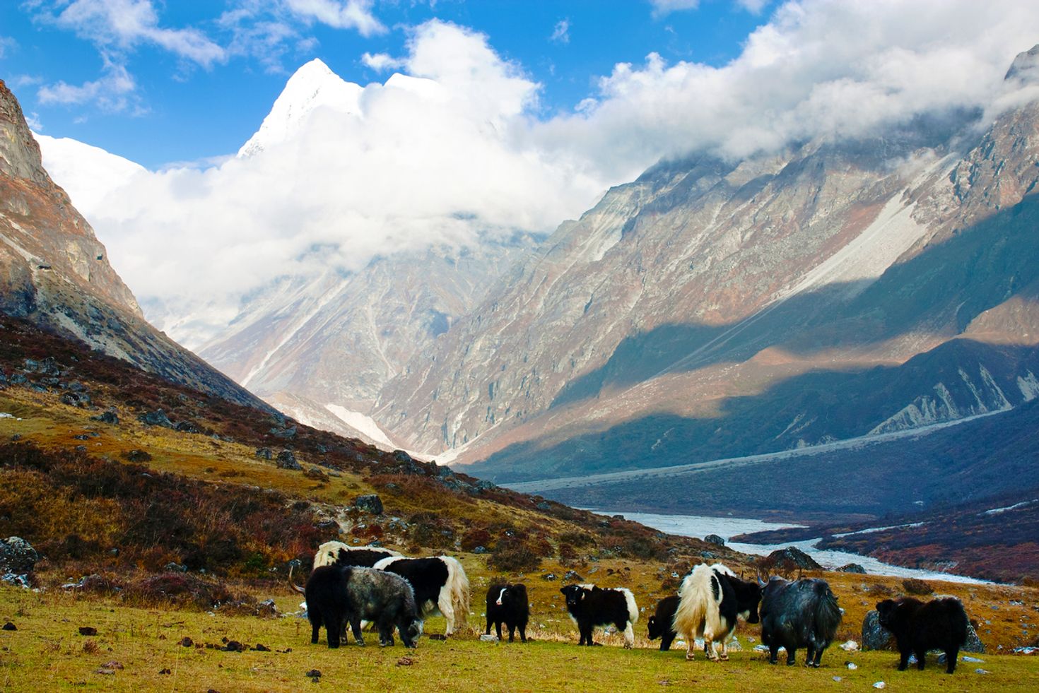 See the amazing landscape during your Langtang trek while spending 7 days in Nepal.