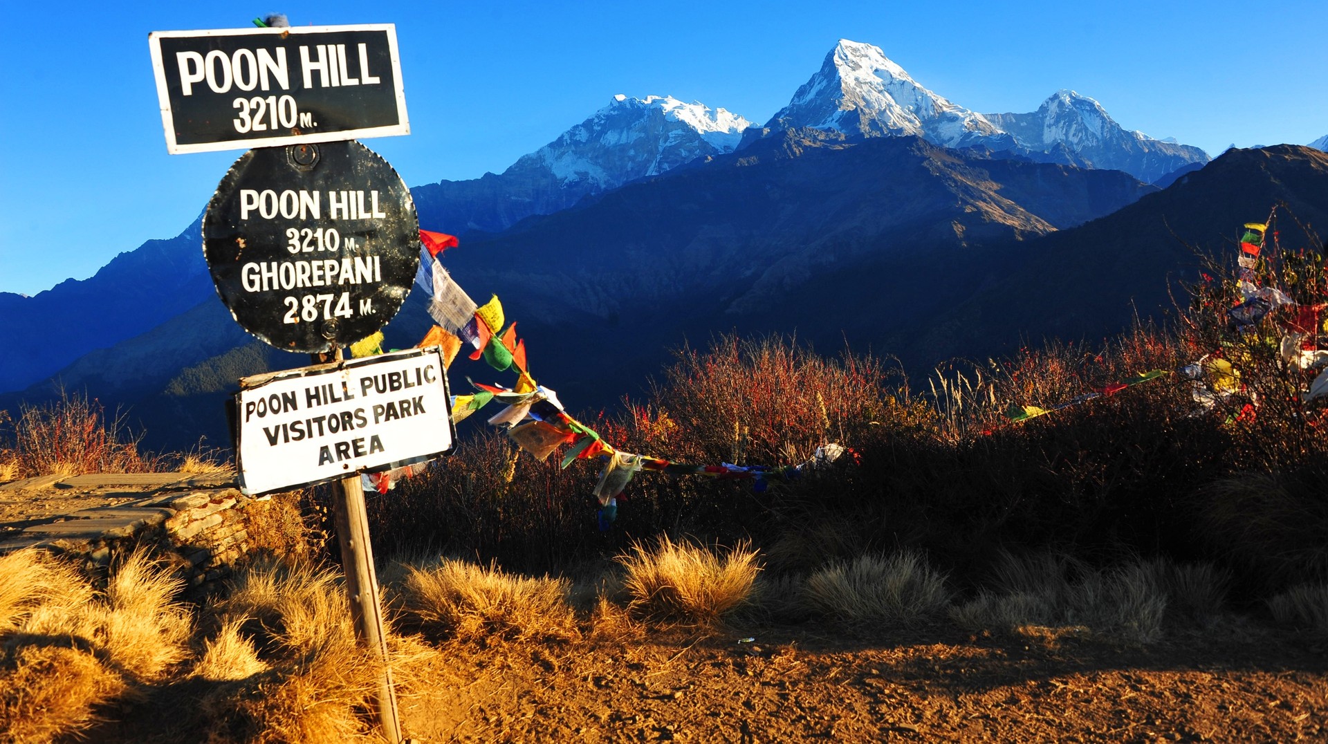 Trek to Poonhill for a stunning view of the HImalayas during 8-day stay in Nepal.