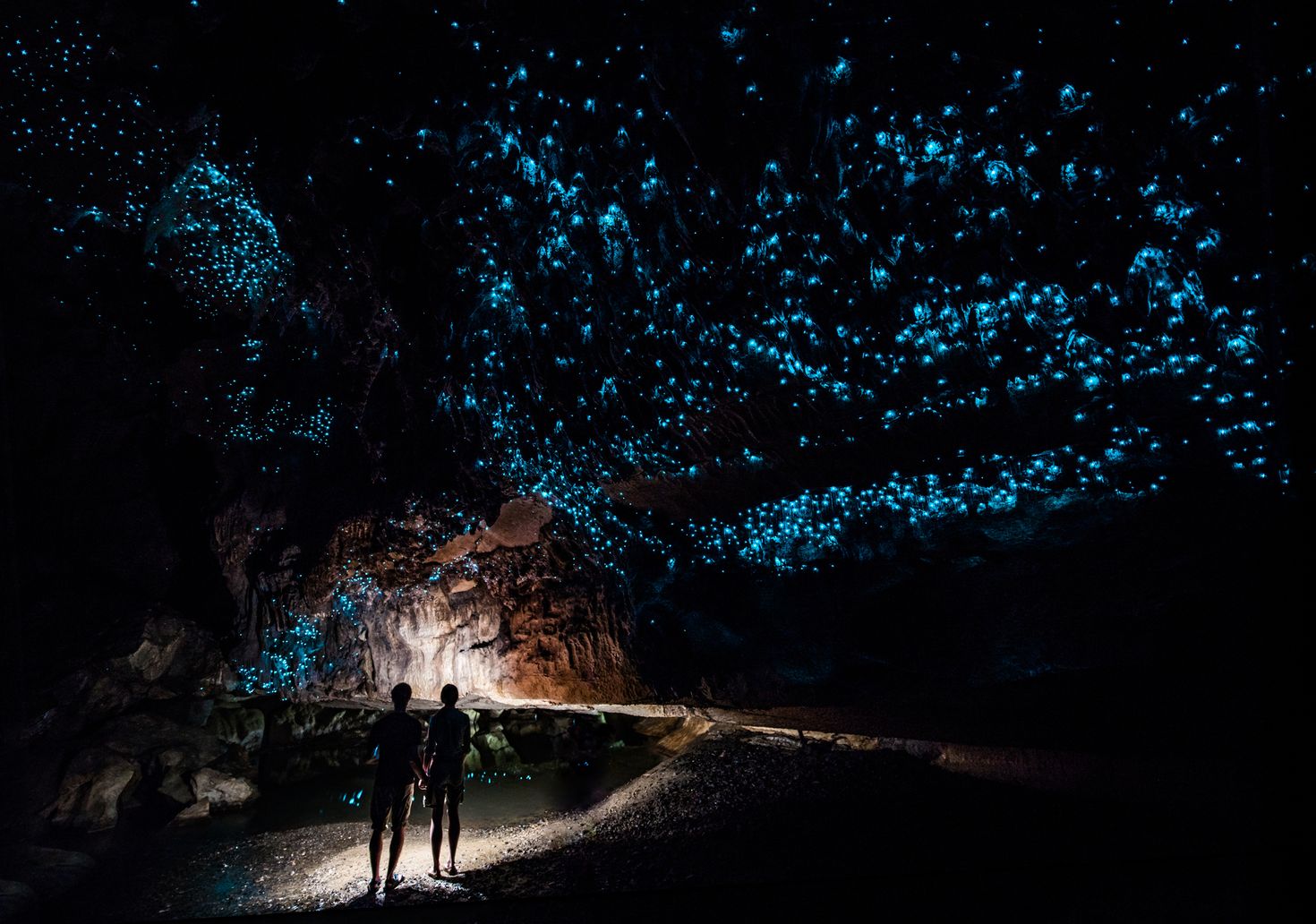 Glowworm Cathedral illuminates a light blue hue at the end of Waipu Cave