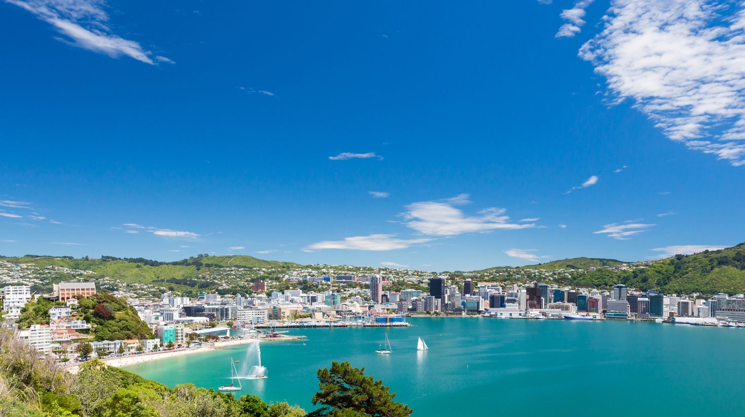 The weather in Wellington in August is dry.