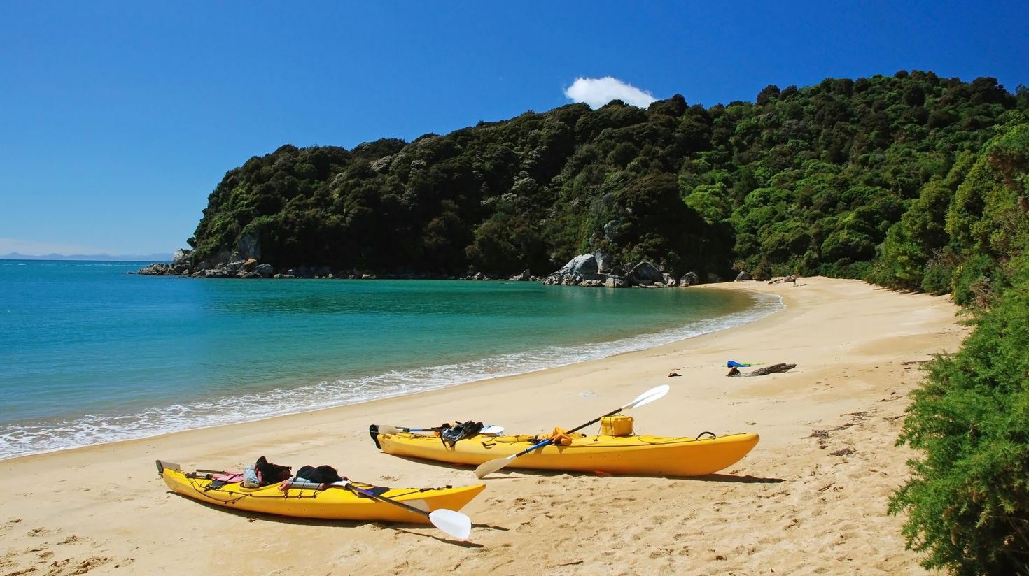 The weather in New Zealand is perfect for kayaking in December.