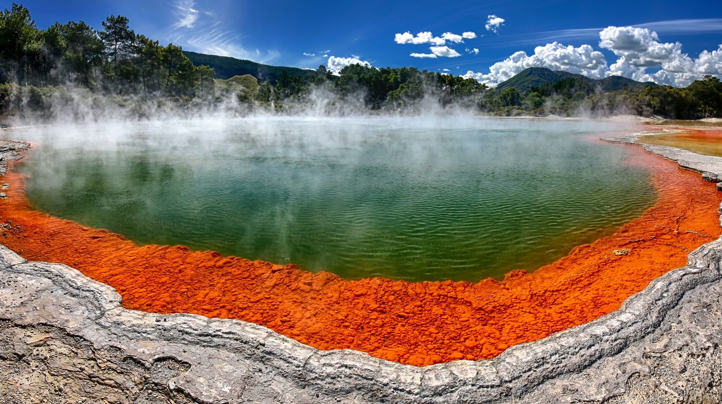 Relax in a thermal pool near Rotorua.