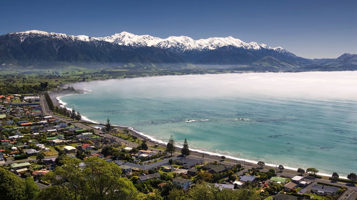 Spend some time in the coastlines of Kaikoura.