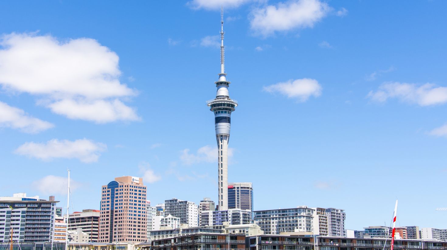 Visit the Sky Tower in Auckland.