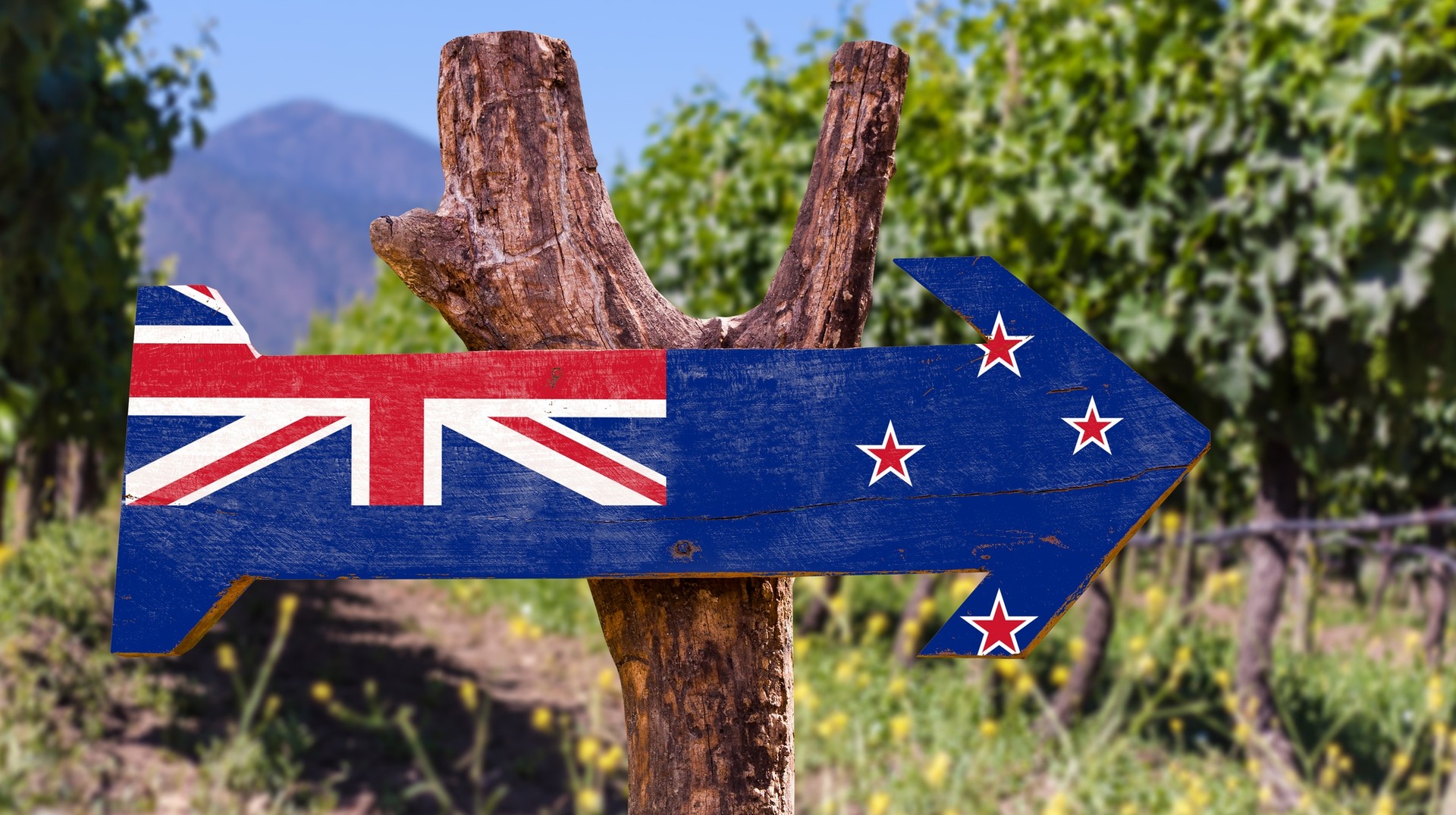 Head to a winery in New Zealand in October and sip some amazing wine. Navigate your way with road signs in wineries in New Zealand in October.