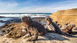 One week in Galapagos: Top 3 Recommendations