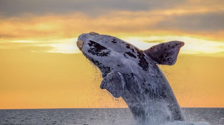 Patagonia in September: Weather, Wildlife Adventures and More!