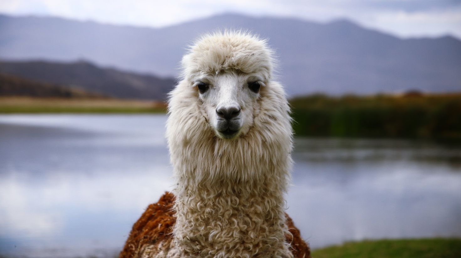 Huaraz, Peru is one of the best places to visit in your 10 day trip to Peru.