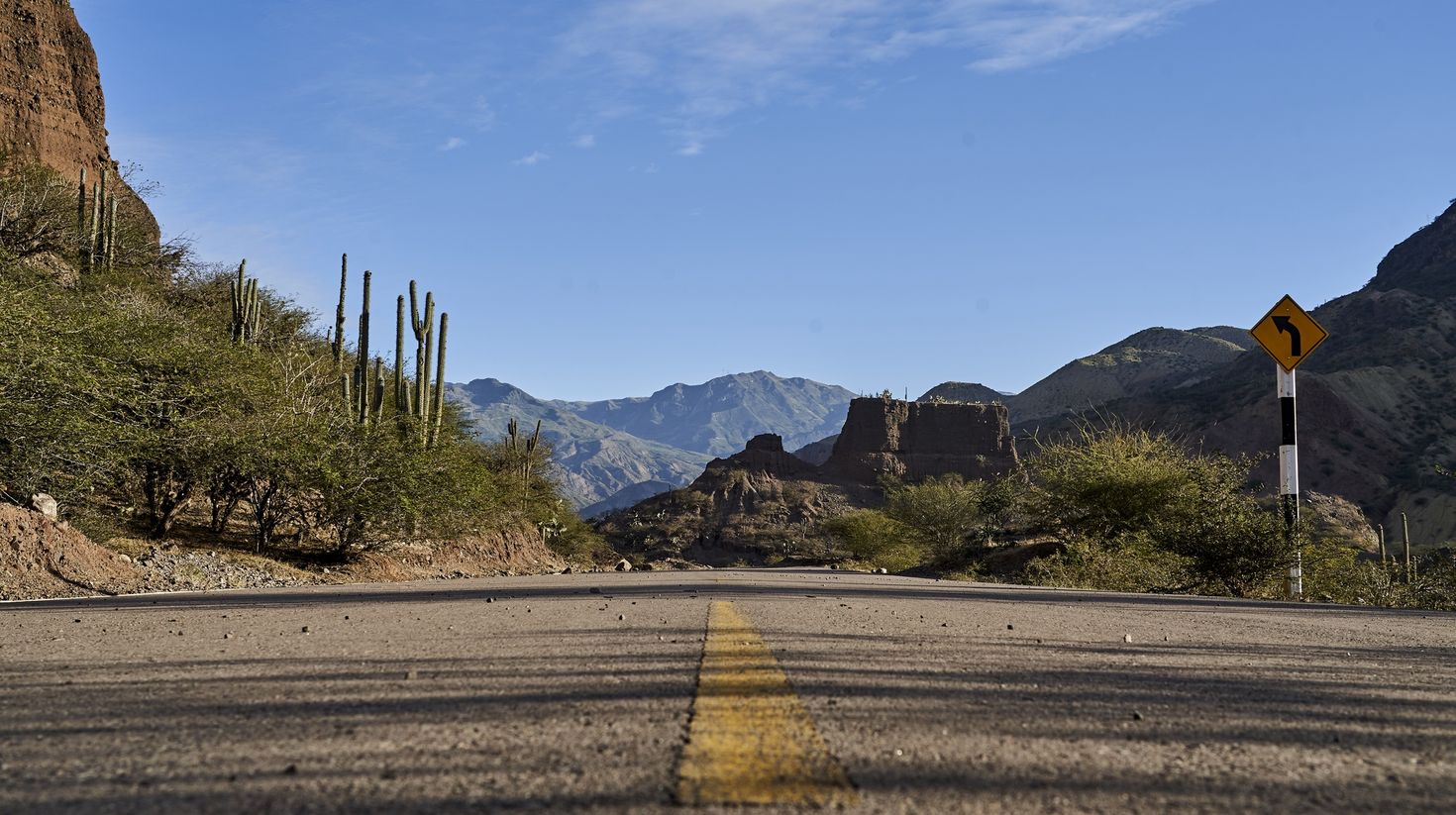 arid desert landscape showing cactus and desert rock formations, Peru