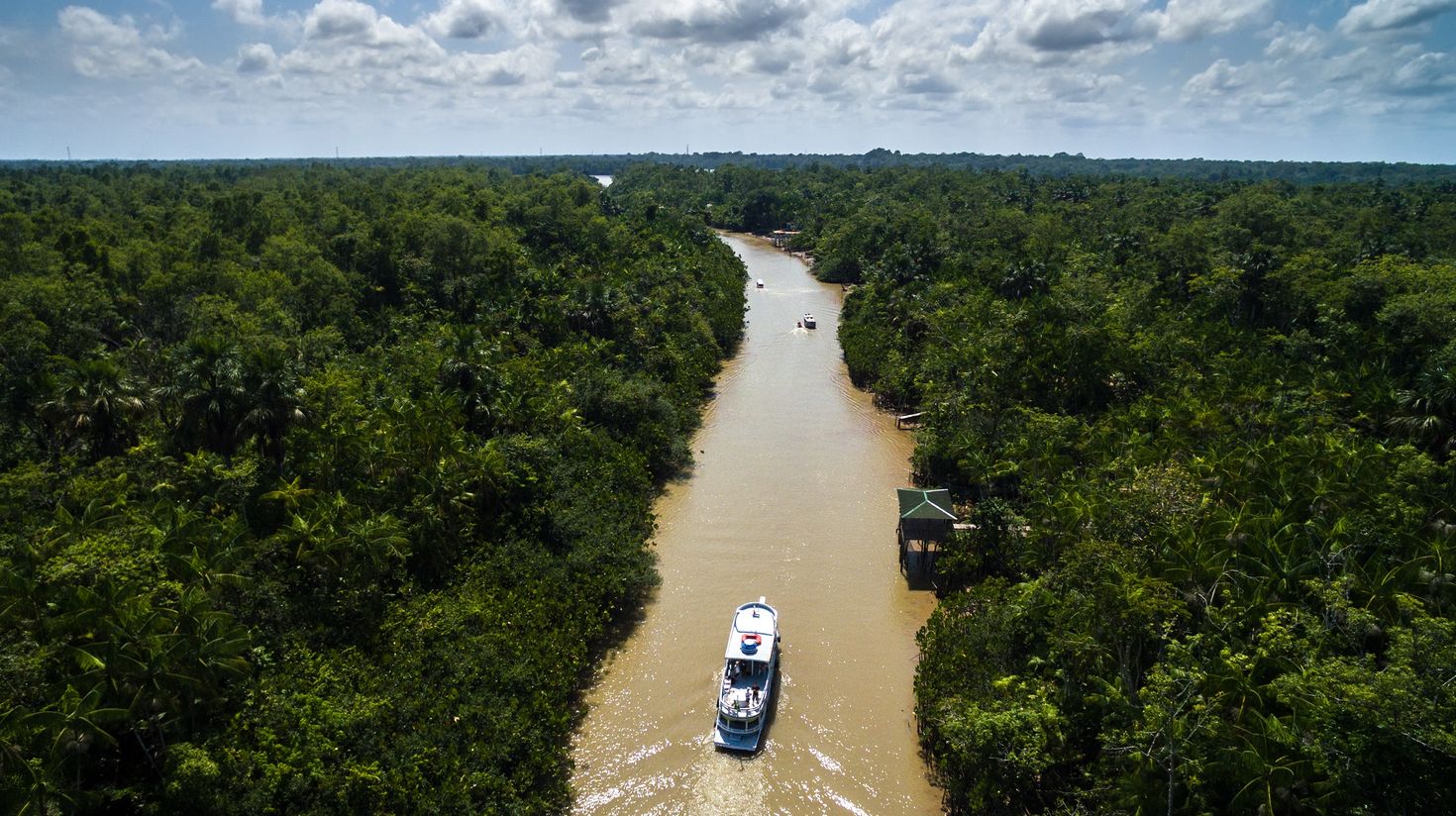 Aerial view of Amazon Rainforest with a boat on a cloudy day