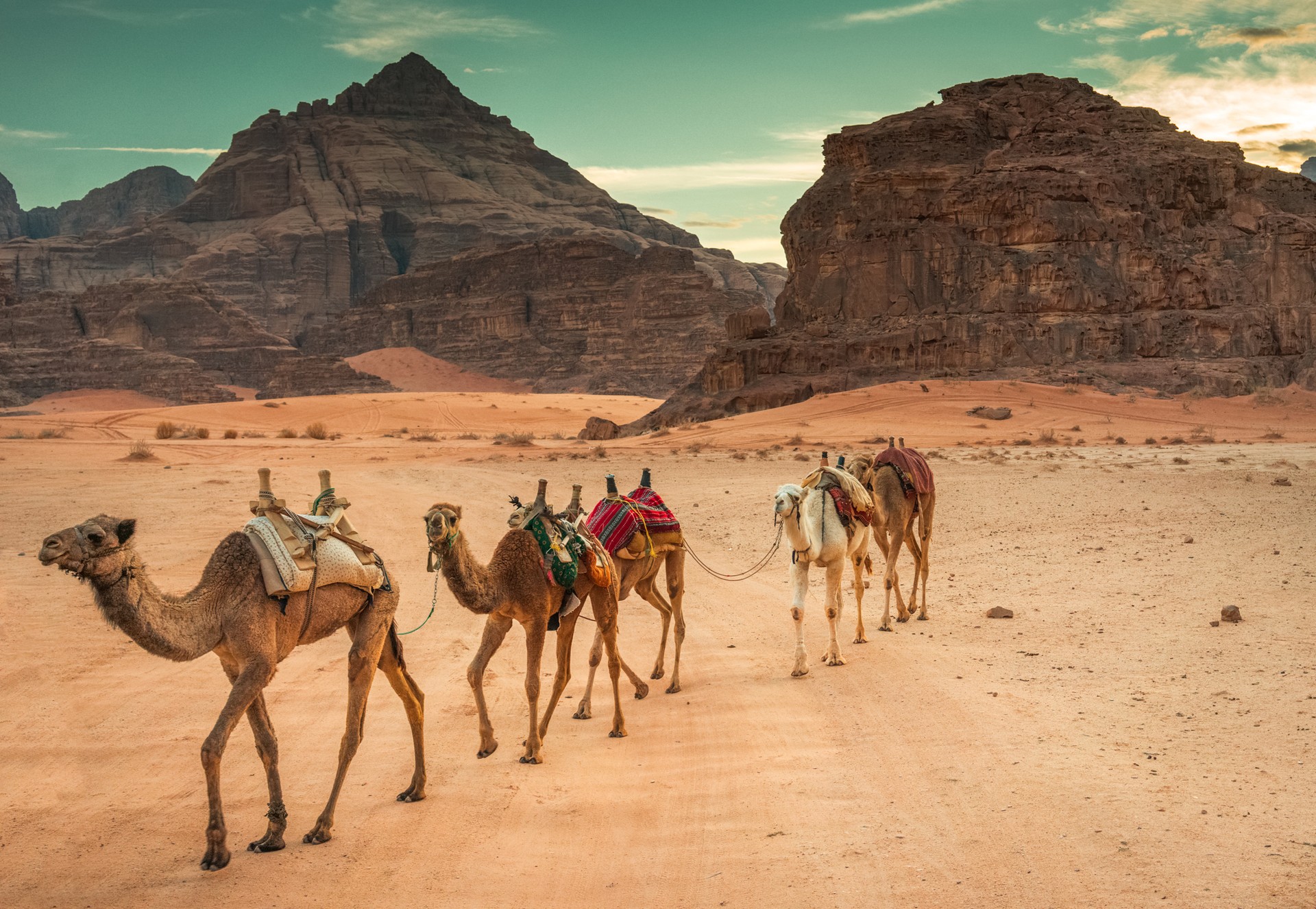 Add camel rides when you travel from Petra to Wadi Rum.