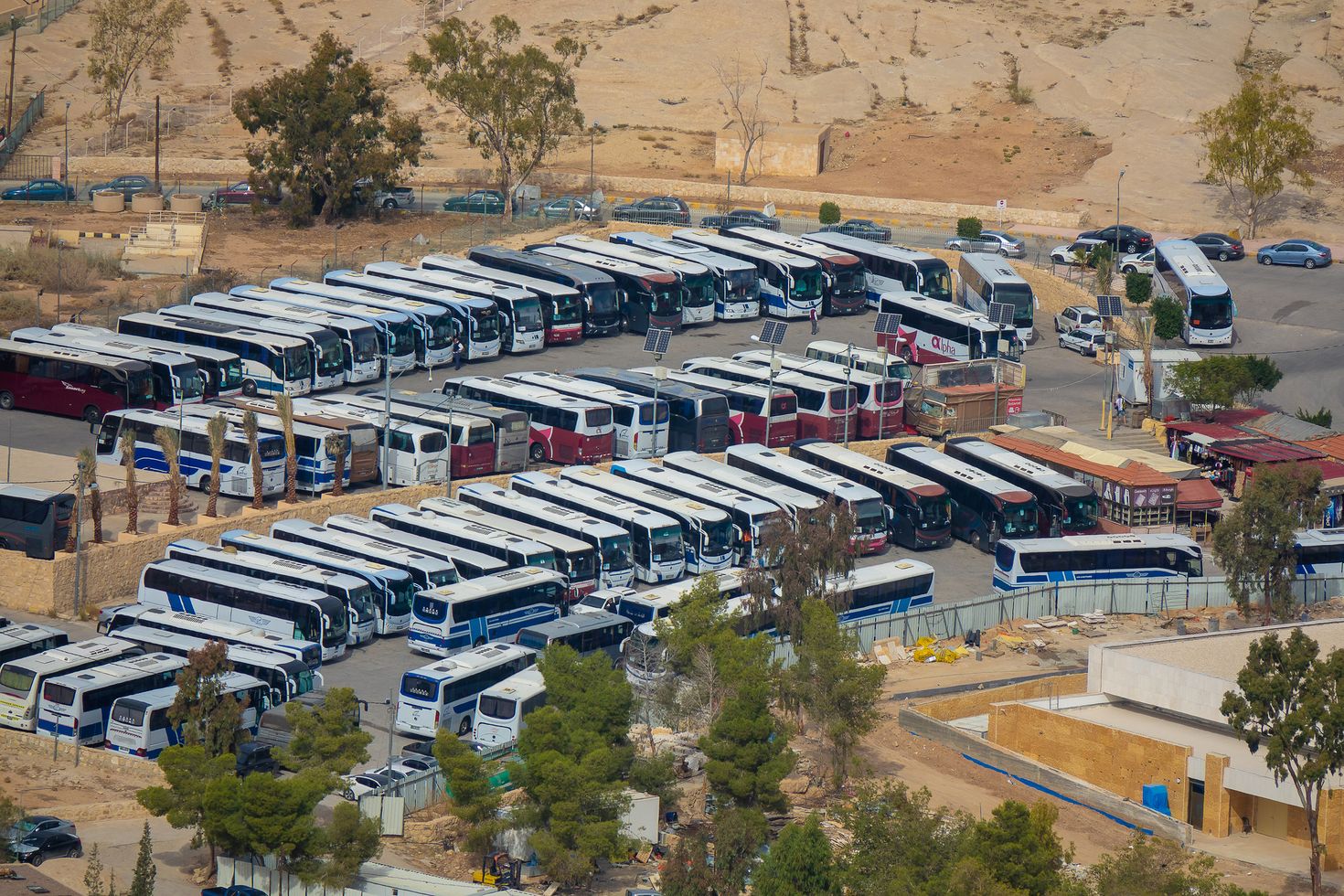 A huge number of bus at the stop in Petra, Jordan.