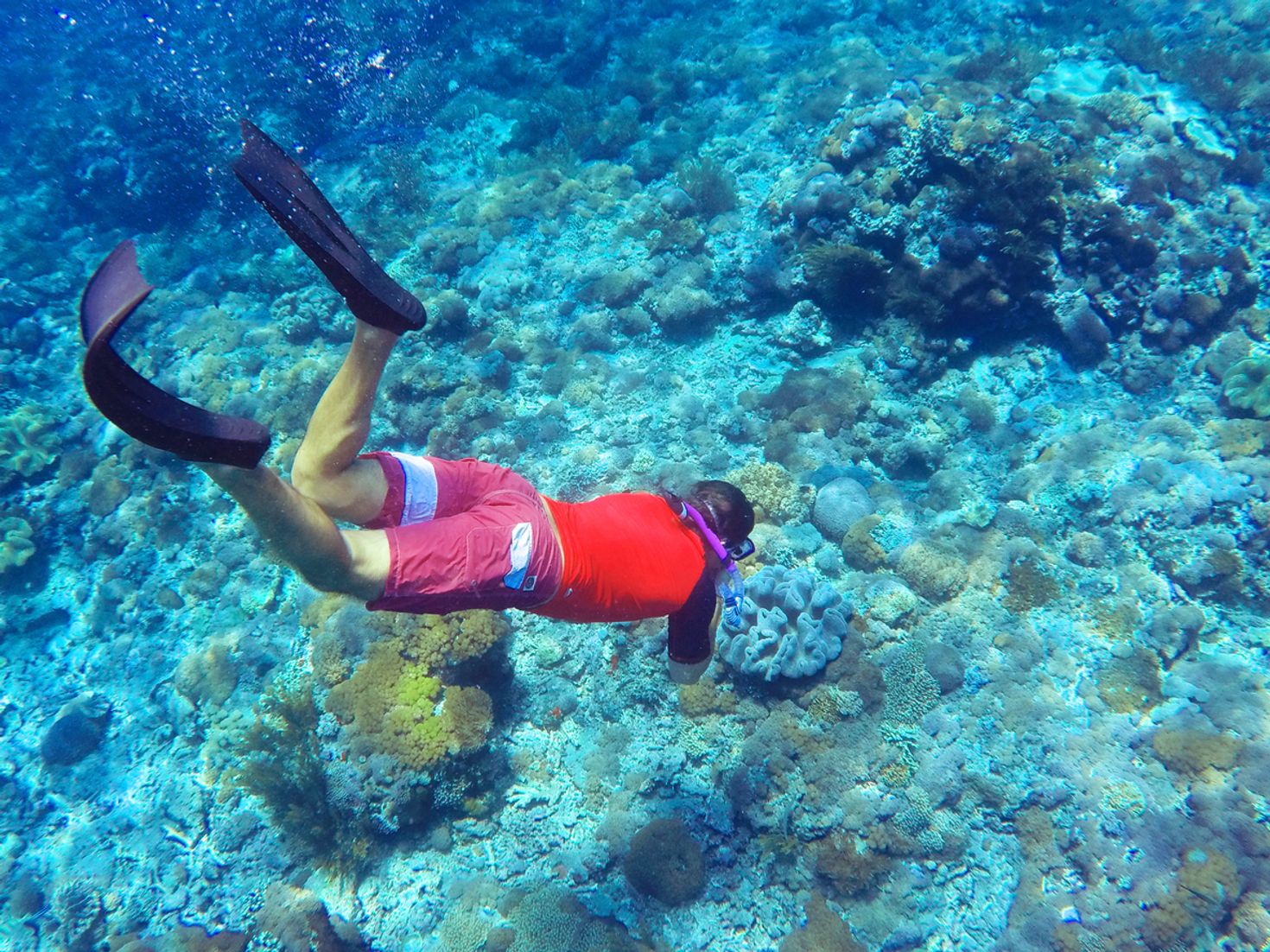 Go diving in the Flores Islands and explore the marine life.