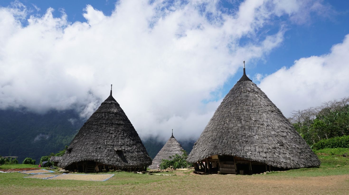 When on Flores Island, visit the Wae Rebo village