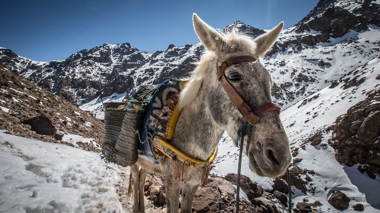 High Atlas Mountains good transport