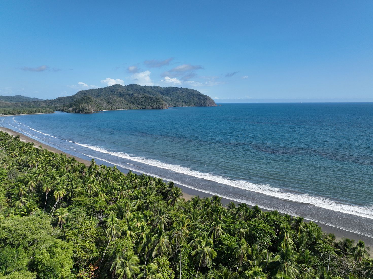 The view of Playa Tambor in Nicoya Peninsula with palm trees and blue water