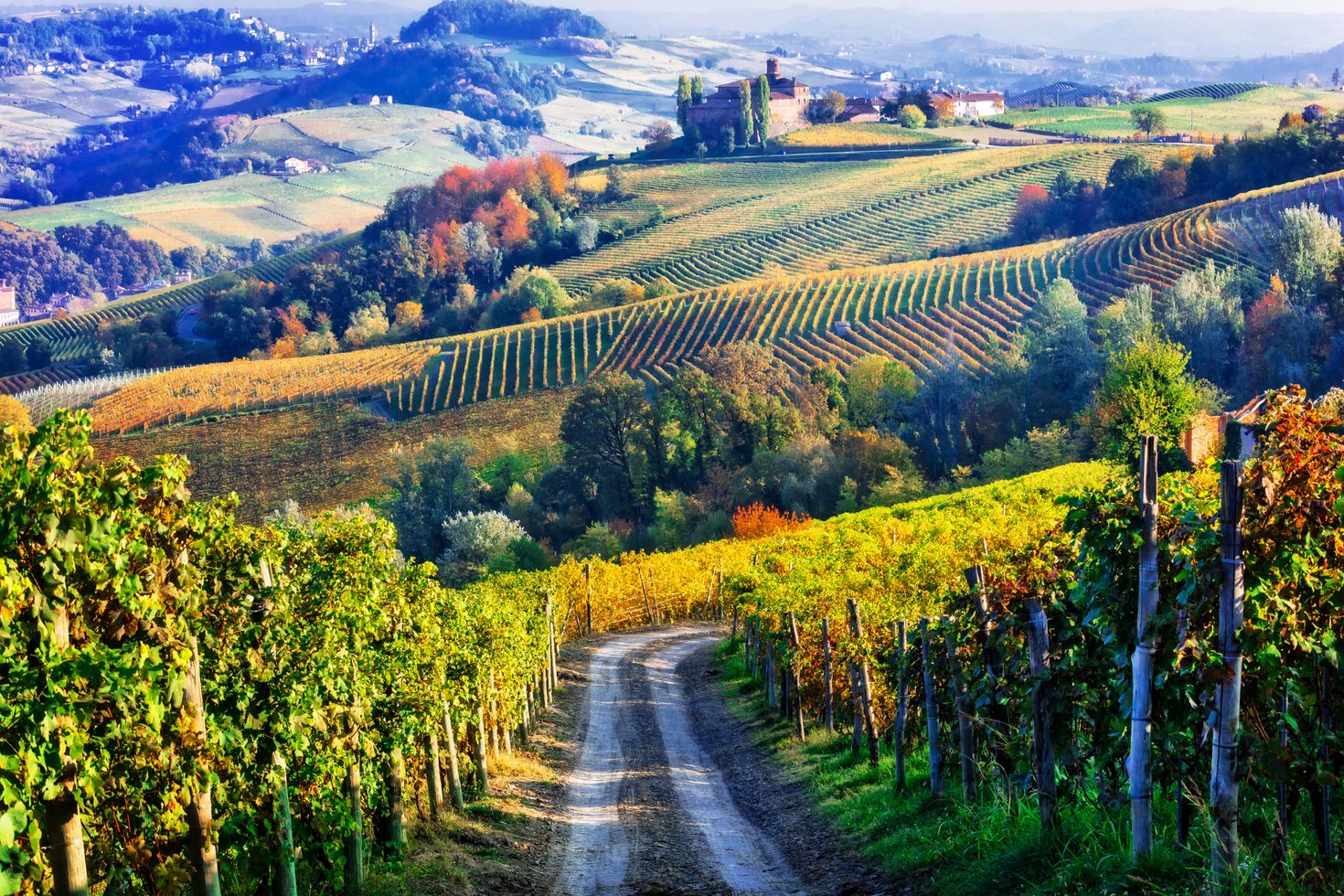  When thinking of Tuscany, an image of rolling green vineyards, pink-orange sunsets and winding tree-lined country roads most likely pops up.