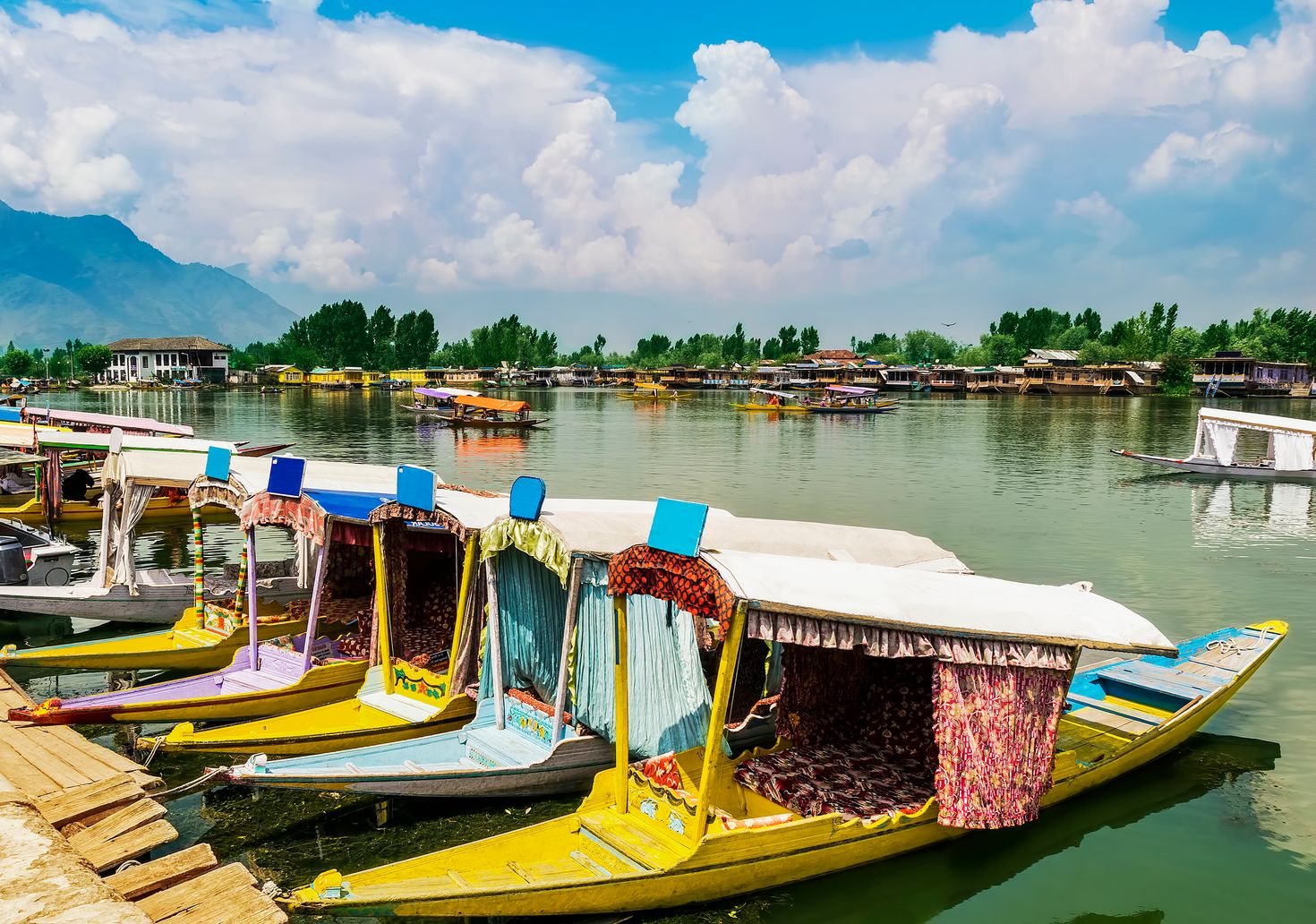 Kashmir in India